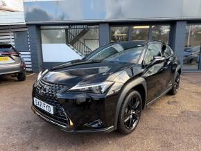 LEXUS UX at CSG Motor Company Chalfont St Giles